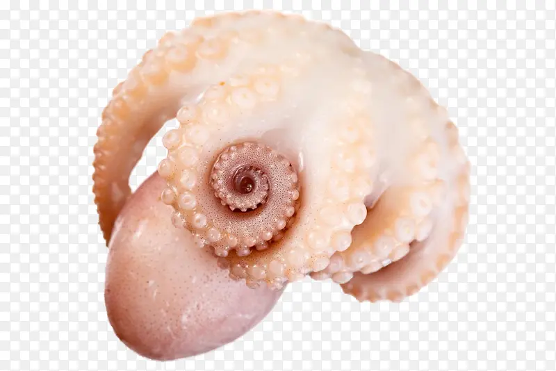 ����-������