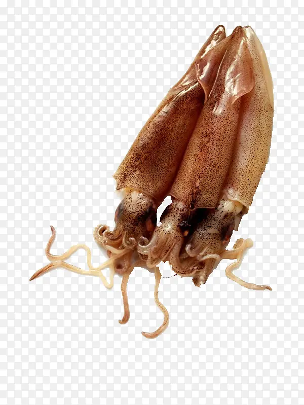 ����-������