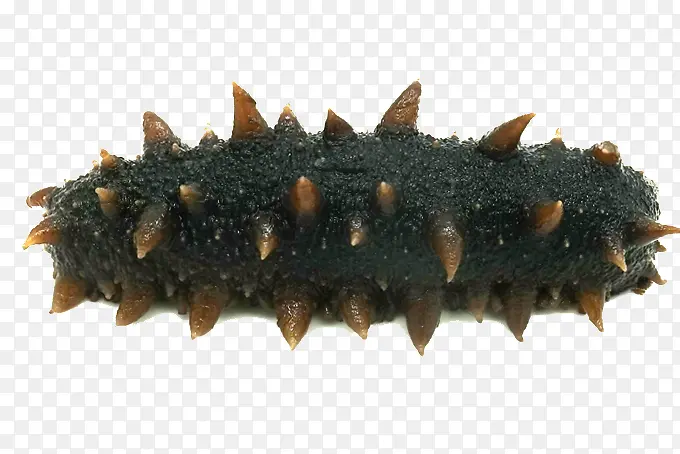 ��������-������