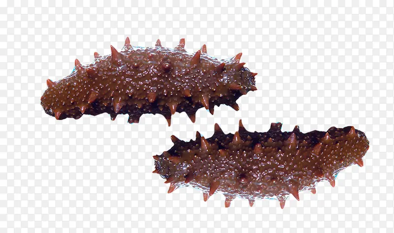 ����ʳ��-������