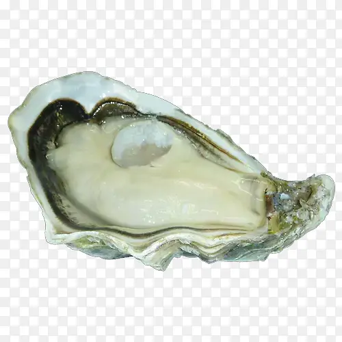 һ�����-������