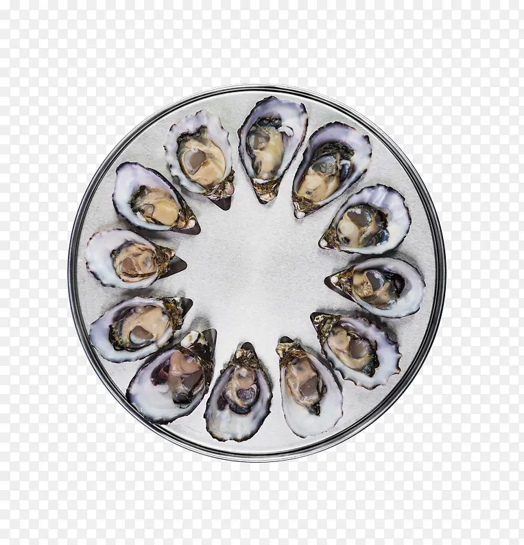 �����������-������