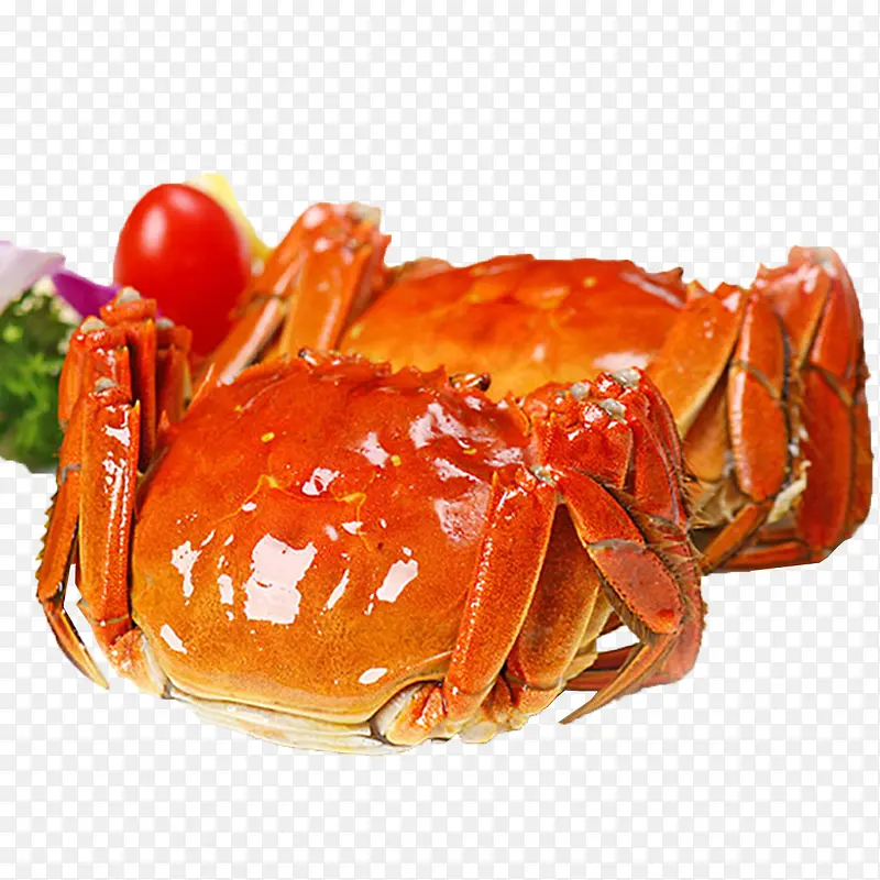 ��Ʒʵ�ﺣ��-������