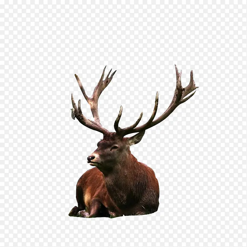 Ұ������-������