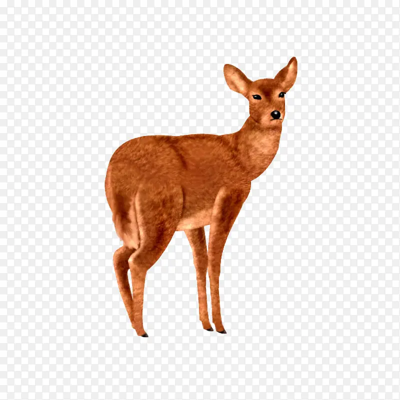 Ұ������-������