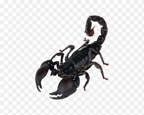 Ы�Ӷ���-������