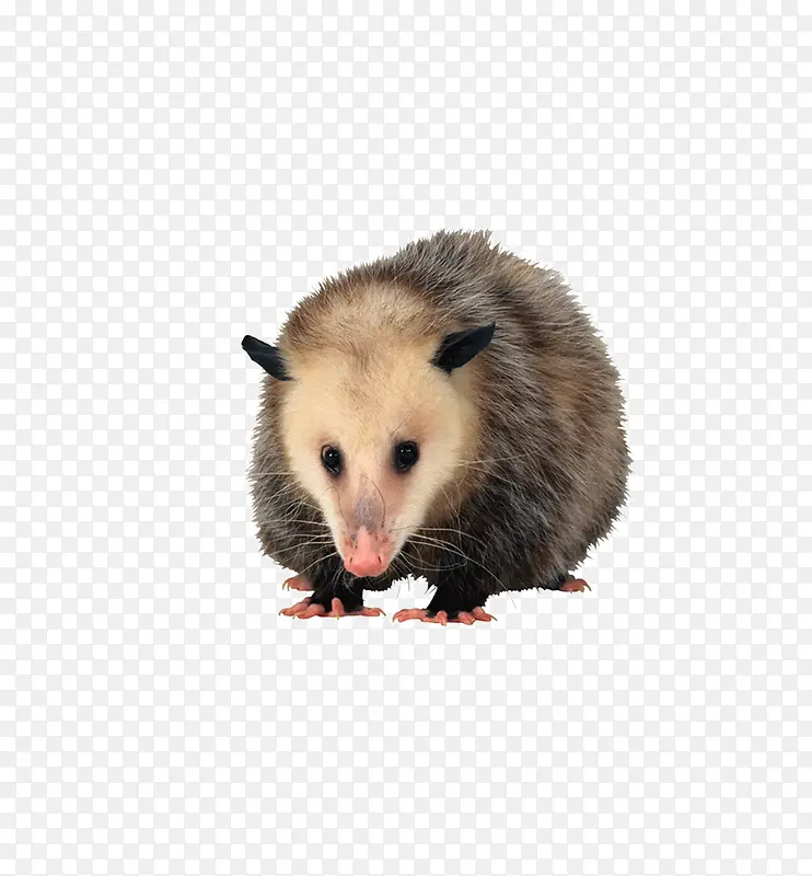 ������-������