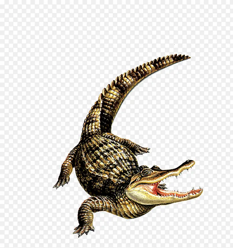 ����Ұ������-������