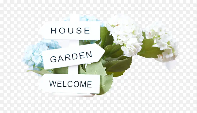 ��ɫ��-������