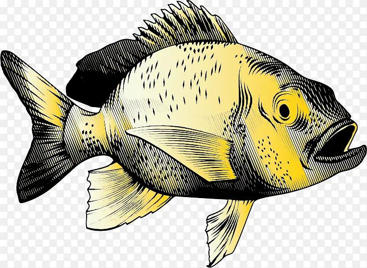 �ֻ溣��-������