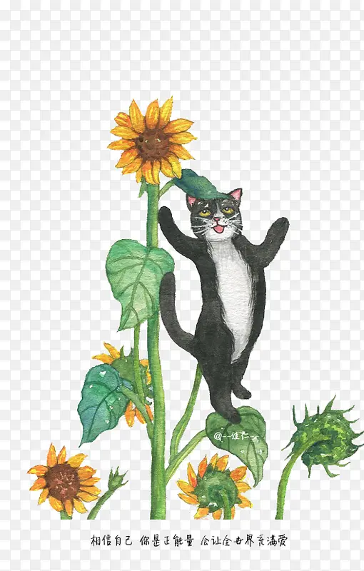 ��ͨè-������