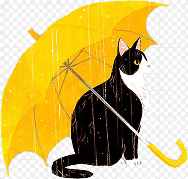 �����ֻ濨ͨ�廭è-������