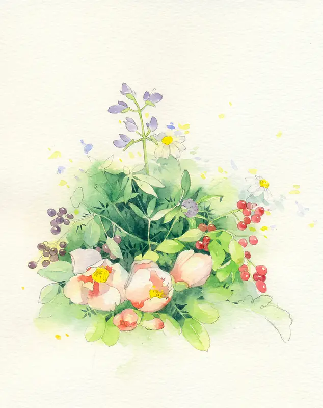 �ֻ�è���˵Ĳ廭-������