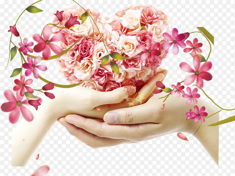 �������Ļ�-������