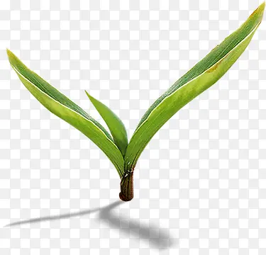 ���崴����Ӱ��ɫ��С����-������