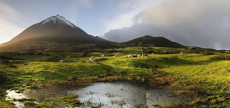 ��������-������