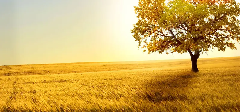 ��������-������