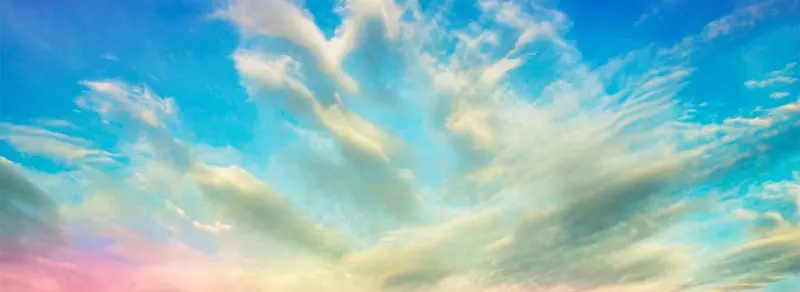 ��ɫ����-������