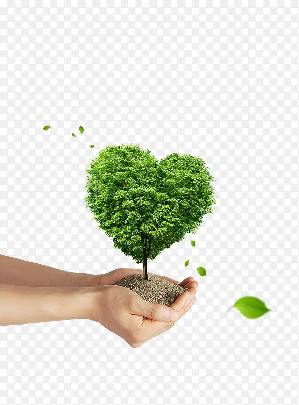 ����ϳ�ɳĮ������ľ-������