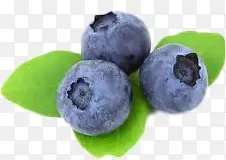 ��ݮ-������