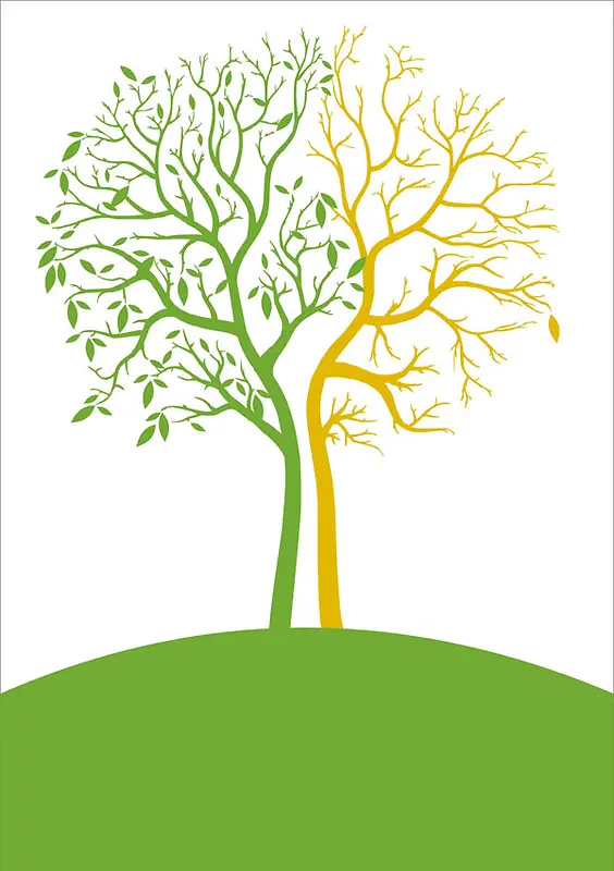 ��-������