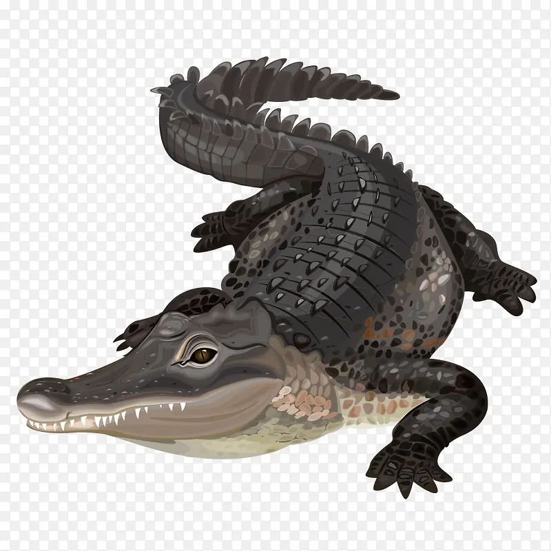 ��ͨ����-������