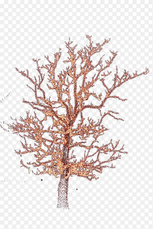 ��ɫ����-������