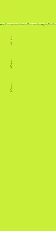 ��ɫ����-������