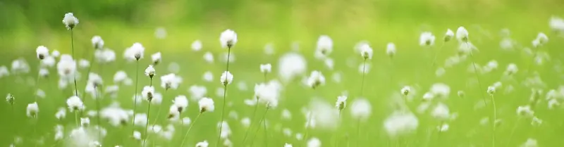 ��ɫ����-������