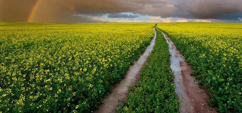 ��ɫ��Ӱ����-������