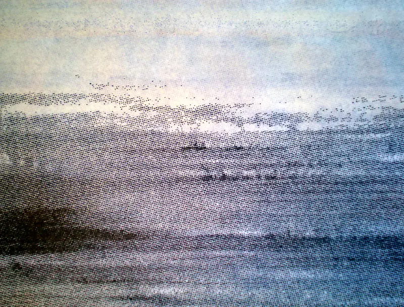 ���ӳ��󱳾�-������