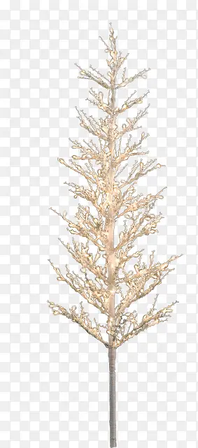 ����ɫ������ʥ����-������