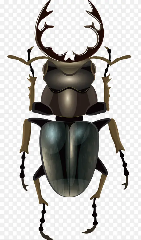 �ֻ�����ʸ��-������