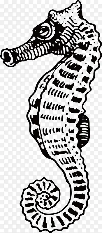 �ֻ溣��-������