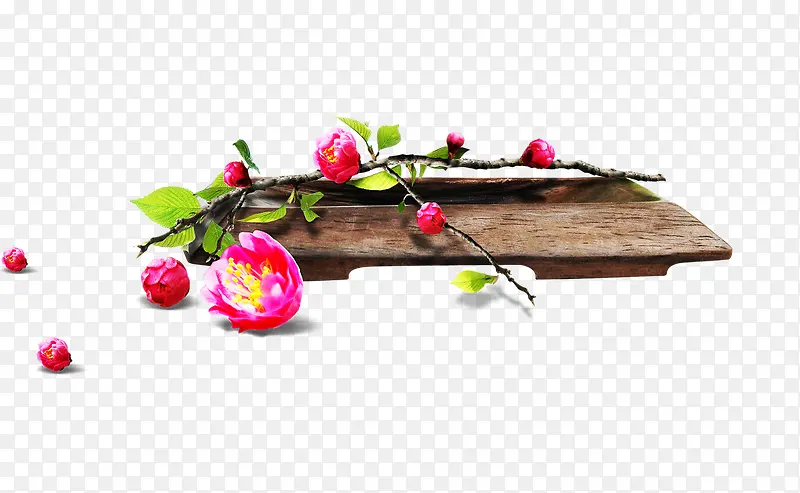 ��ɫ�ɰ�С��ֲ��-������