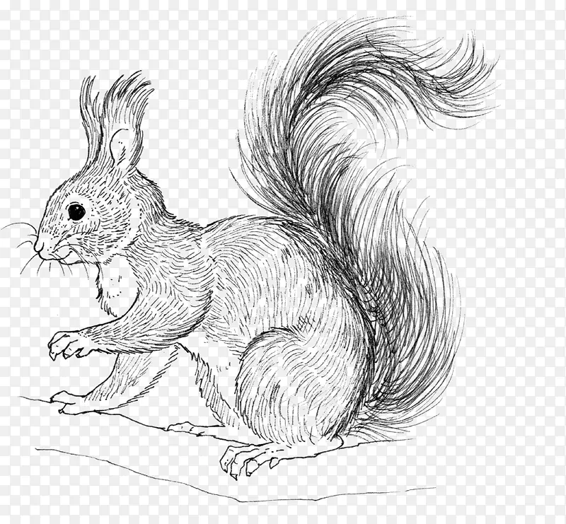 �ֻ�����-������