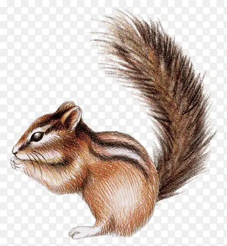 �ֻ�ˮ������-������