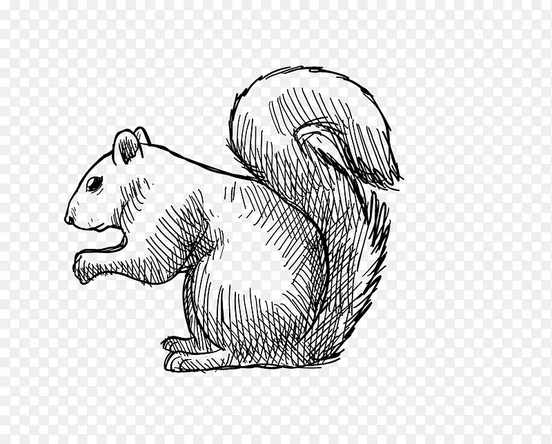 �ֻ�����-������