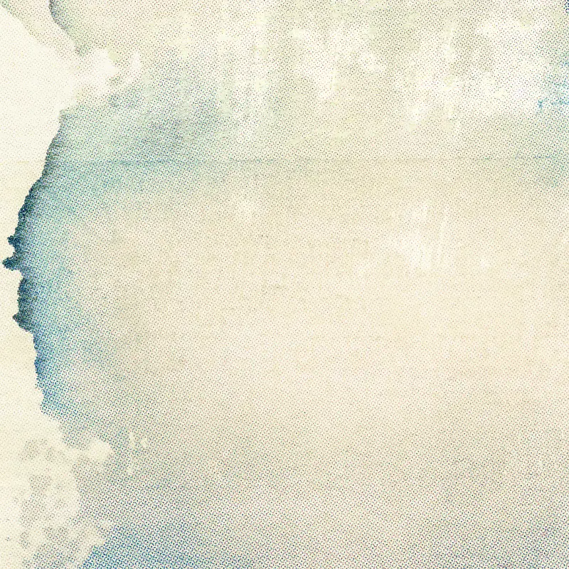 ���ɲ��Ʊ���-������