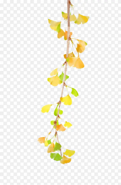 ˮ�ʻ�ɫ��֦Ҷ��-������