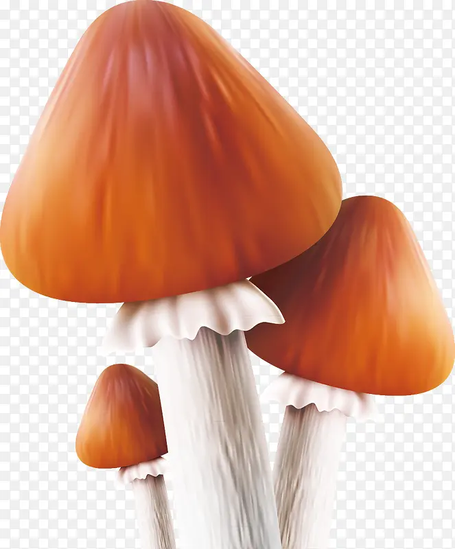 �㹽װ���ز�ʸ��-������