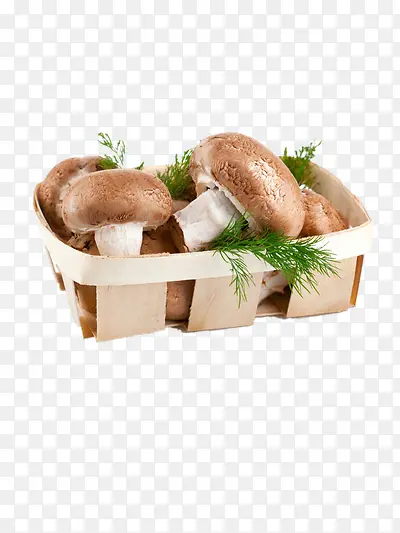 �㹽-������