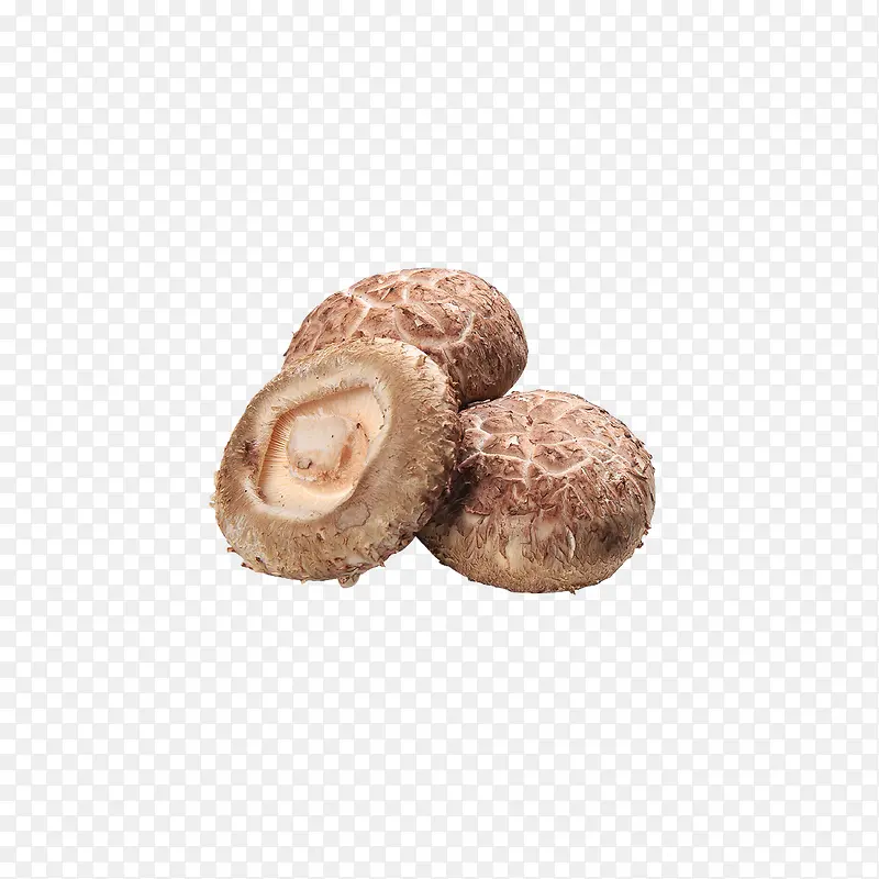 �㹽-������