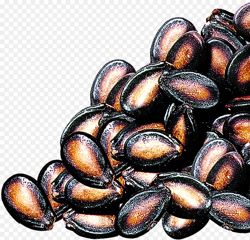 ��ɫ�����Ա�����-������