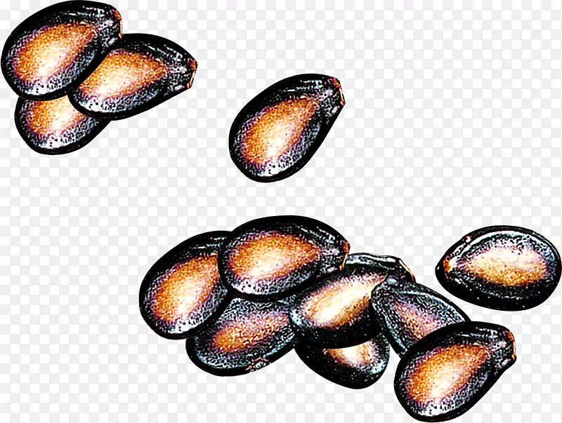 ��ζ�����Ա�����-������