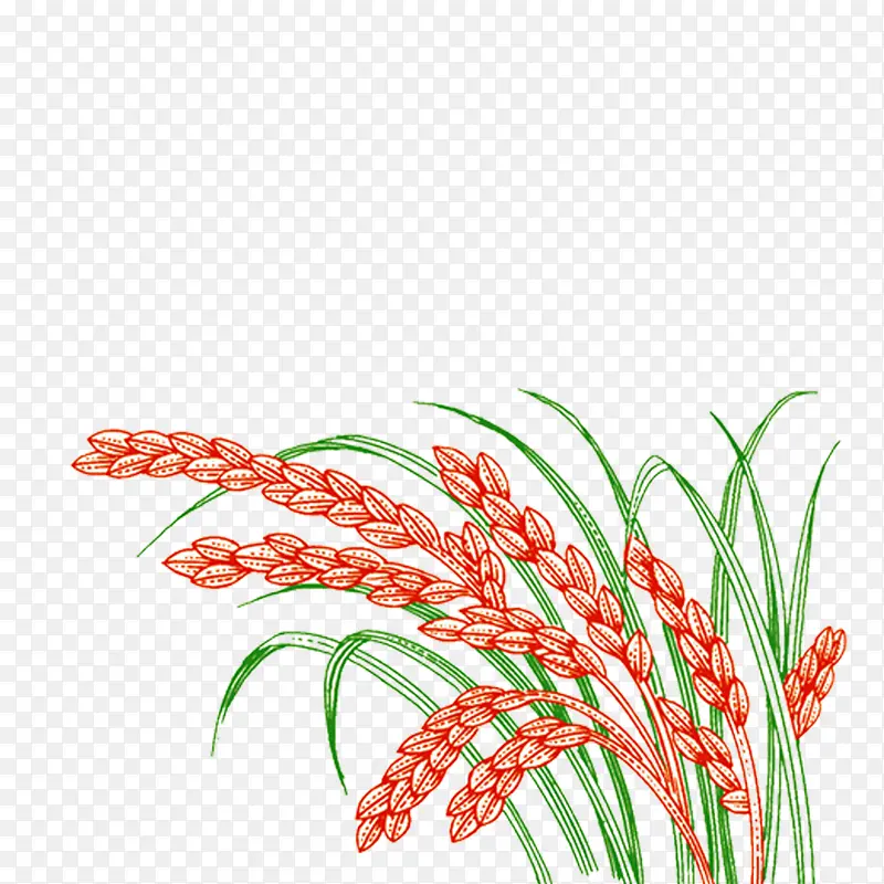 ����-������