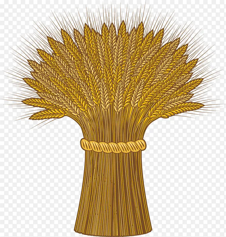 ��ͨ�ֻ�����-������