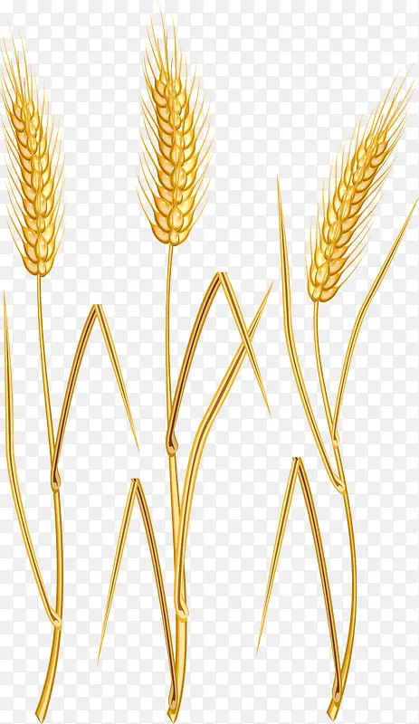 ��ͨ����-������