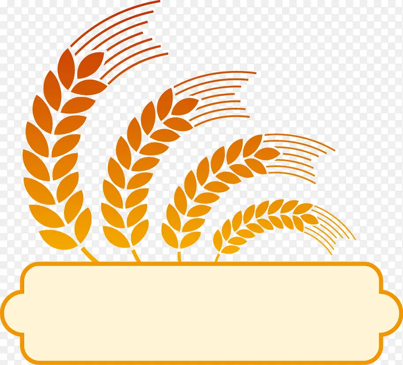 ��ͨ����-������