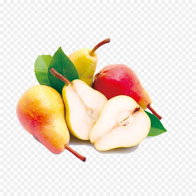 ѩ��-������